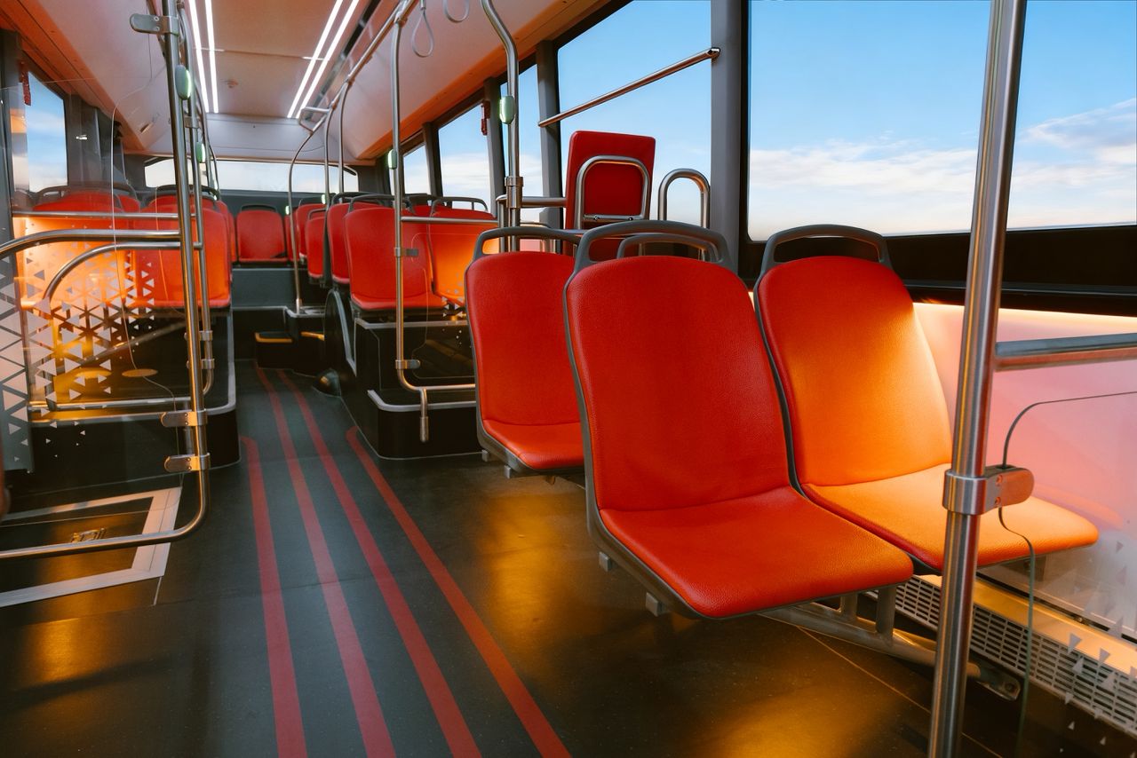 Interior scaune
